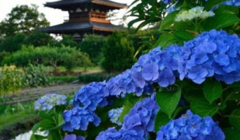 Полезное на неделю с 27 марта по 02 апреля 2023