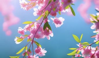 Полезное на неделю с 24 апреля по 30 апреля 2023