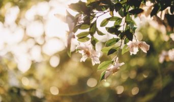 Полезное на неделю с 26 июня по 2 июля 2023