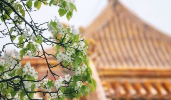 Полезное с 29 мая по 04 июня 2023