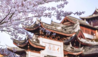 Полезное на неделю с 05 по 11 июня 2023