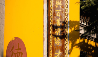 Полезное на неделю с 03 по 09 июля 2023