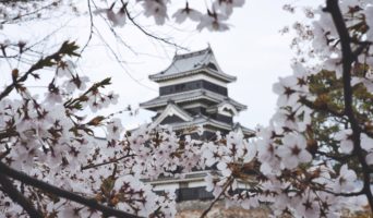 Знакомством с сайтом Библиотеки Шу-гун