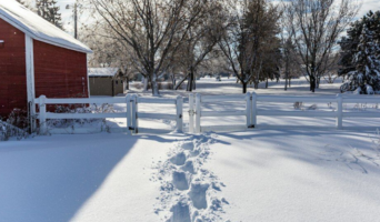 Рекомендации по датам на декабрь 2024
