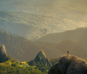 Годовые расклады цимэнь с 2020-2034 гг.