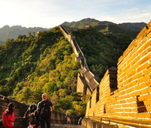 Полезное на август 2024