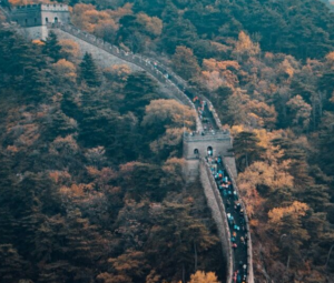 Разминка на каждый день от 10.01.2024