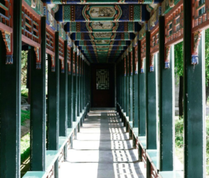 Полезное на июль 2024